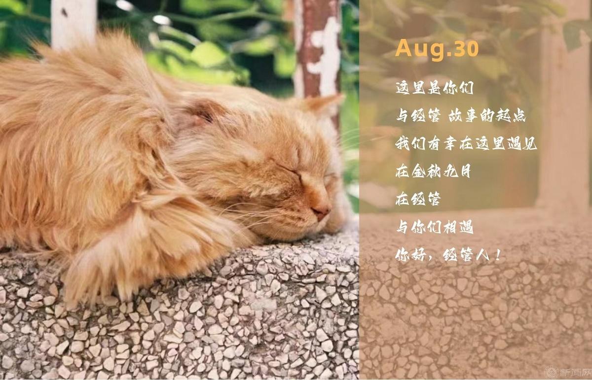 信笺二.jpg