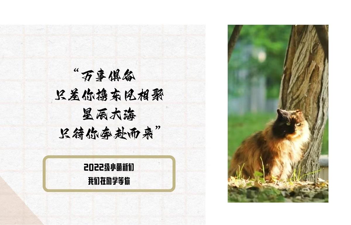 信笺一.jpg